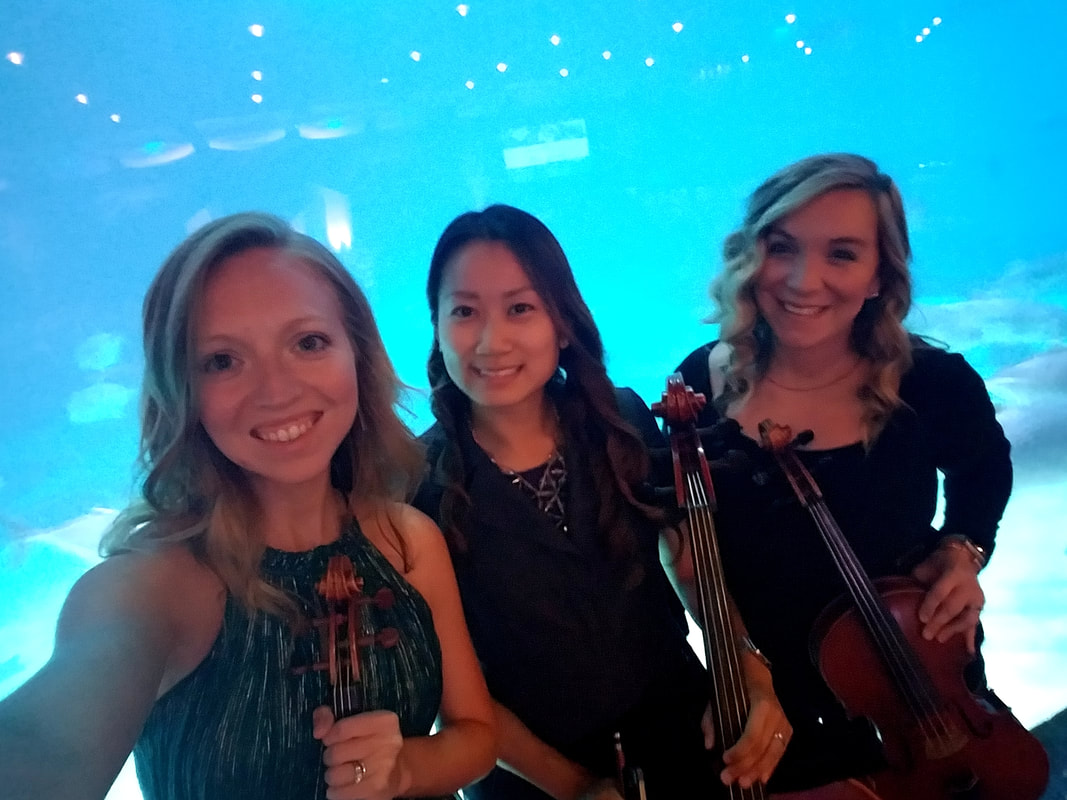 Cobalt Strings, Cobalt Strings Atlanta, Atlanta, Georgia, special events, string trio, string quartet, atlanta events, special events, georgia aquarium